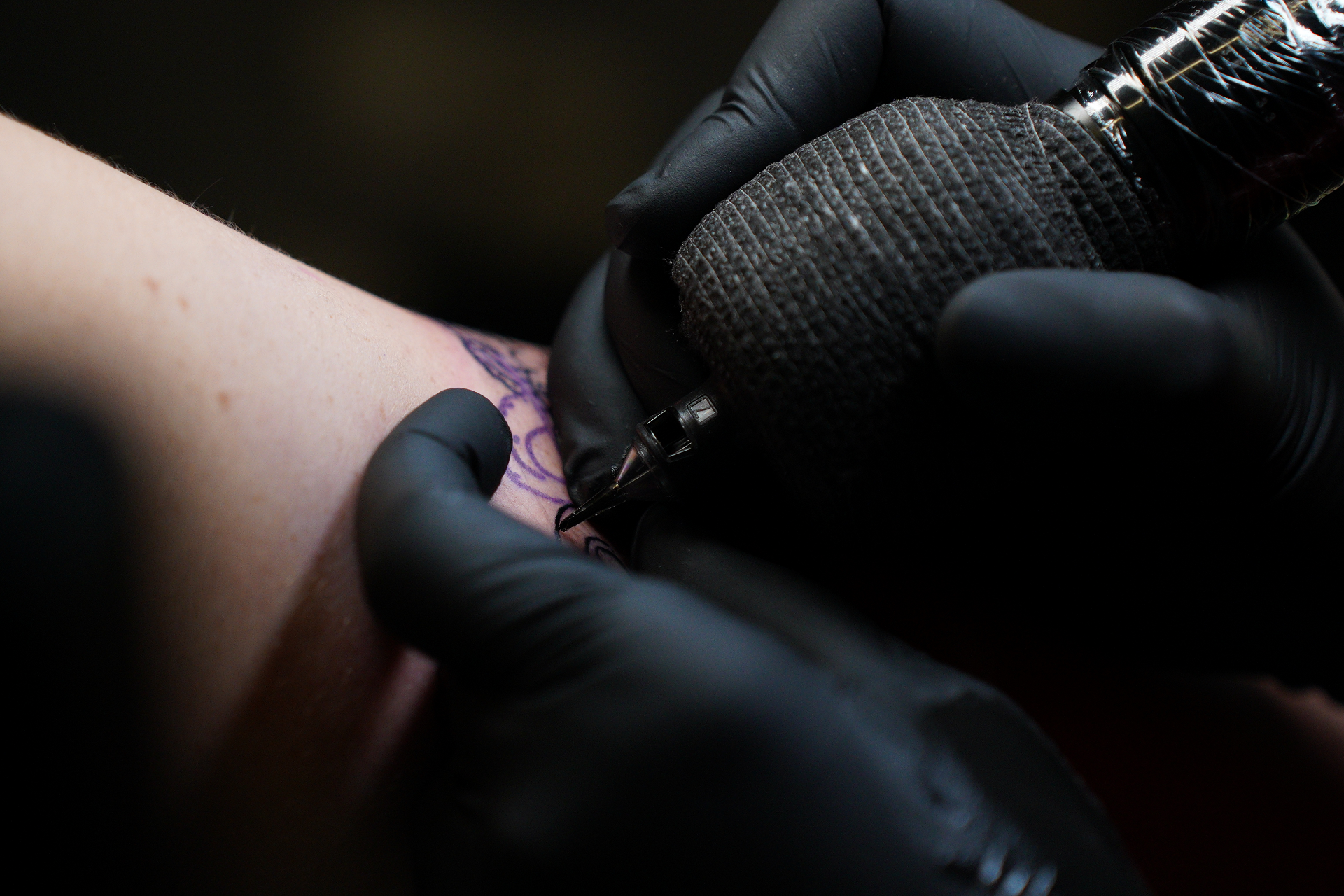 First Aid Trained & Fully Insured